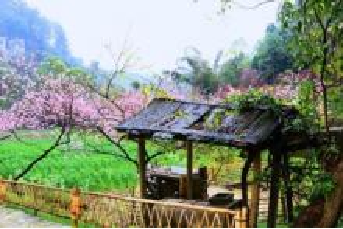 策划运营 “ 洛带.电影里 ”沉浸式体验项目《客韵.楼外楼》